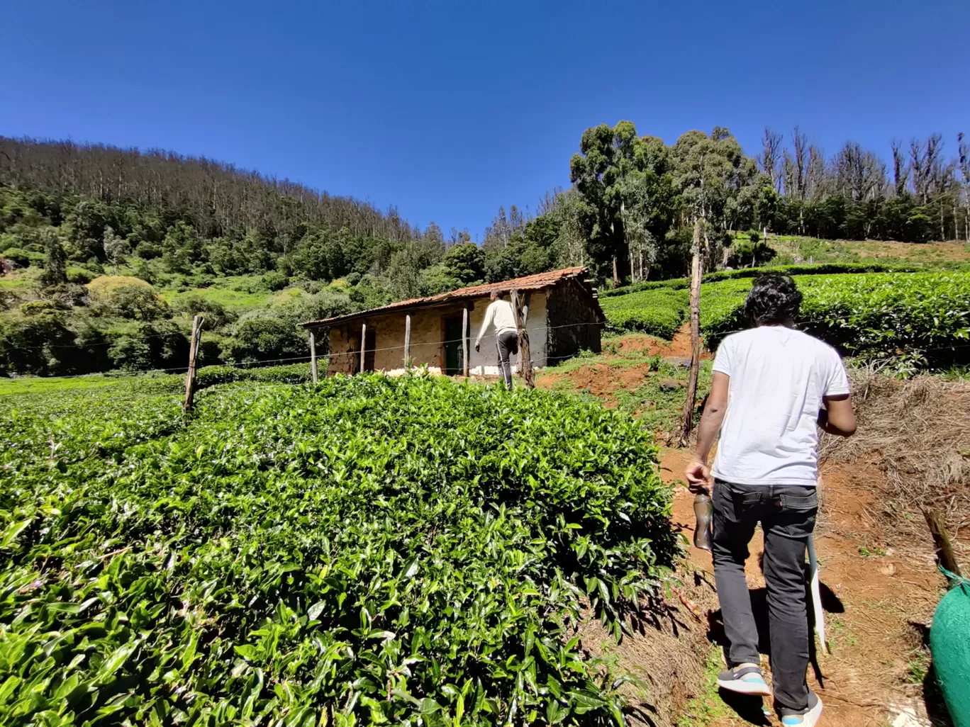 Photo of Ooty hills station By shikhar khatri