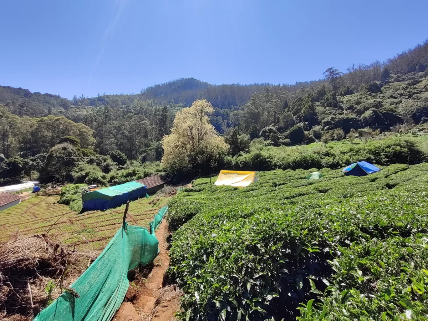 Photo of Ooty hills station By shikhar khatri