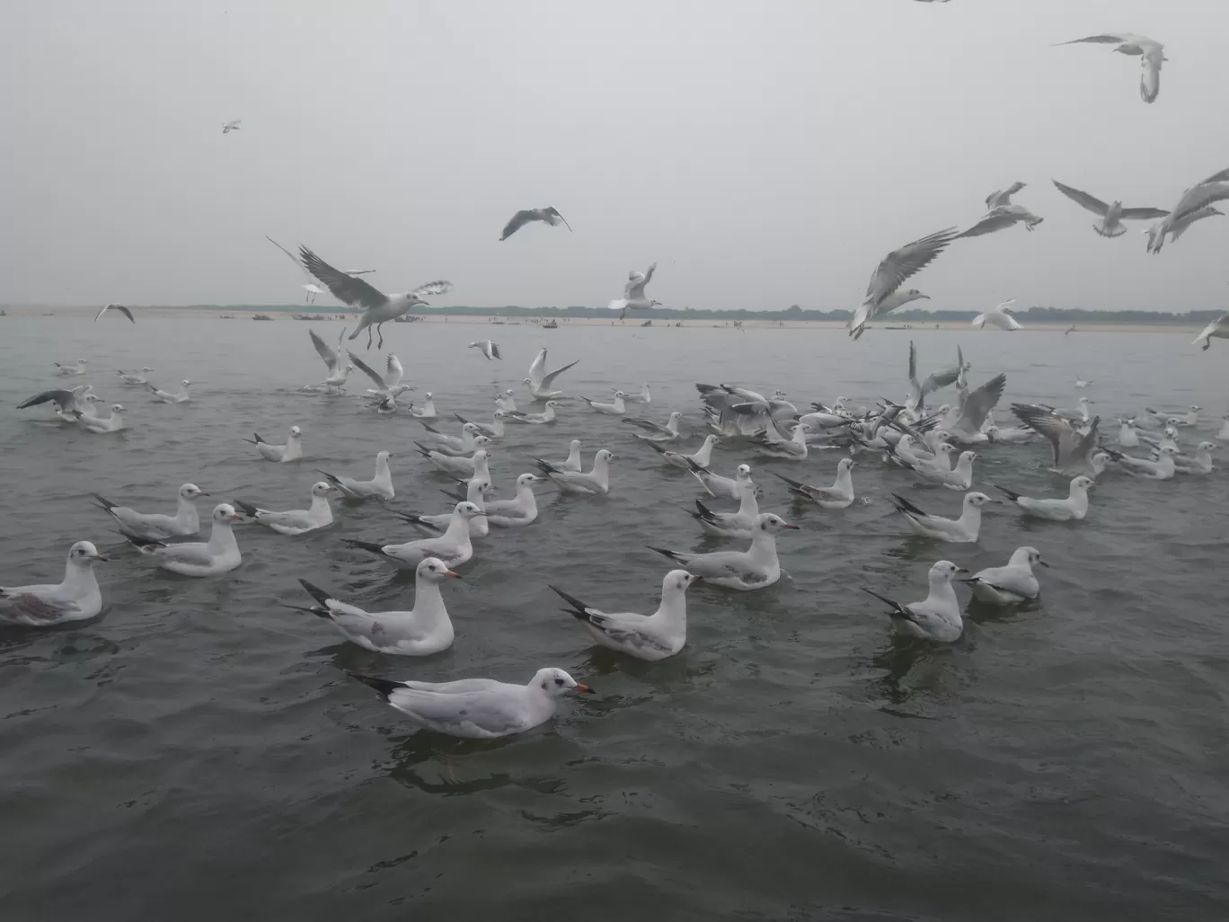 Photo of Assi Ghat(अस्सी घाट) By globaltour2107@gmail.com