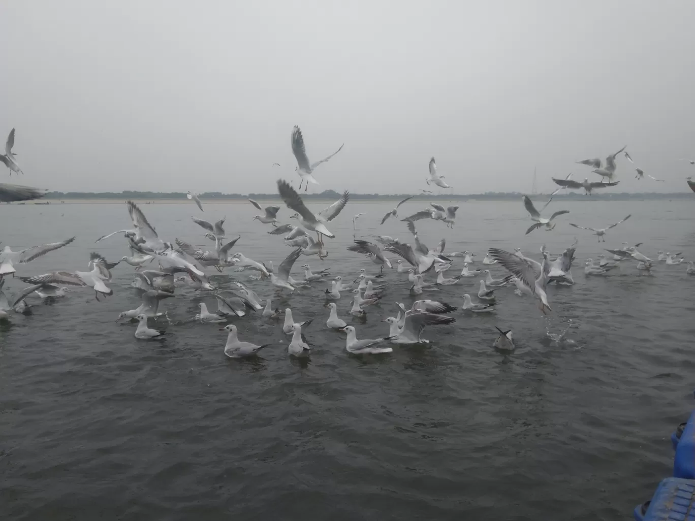 Photo of Assi Ghat(अस्सी घाट) By globaltour2107@gmail.com