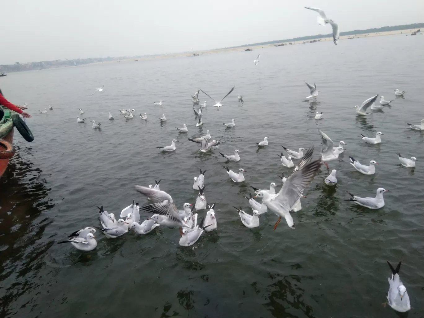 Photo of Assi Ghat(अस्सी घाट) By globaltour2107@gmail.com