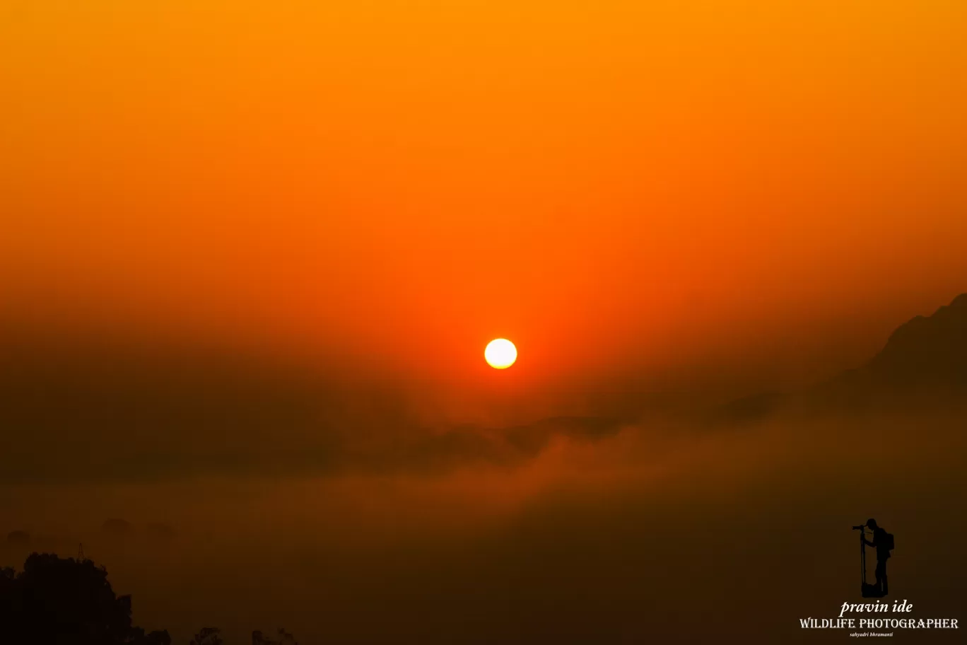 Photo of Dist: Ahemadnagar Bhandardara By wildlife photographer