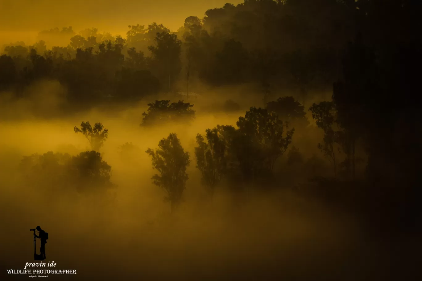 Photo of Dist: Ahemadnagar Bhandardara By wildlife photographer