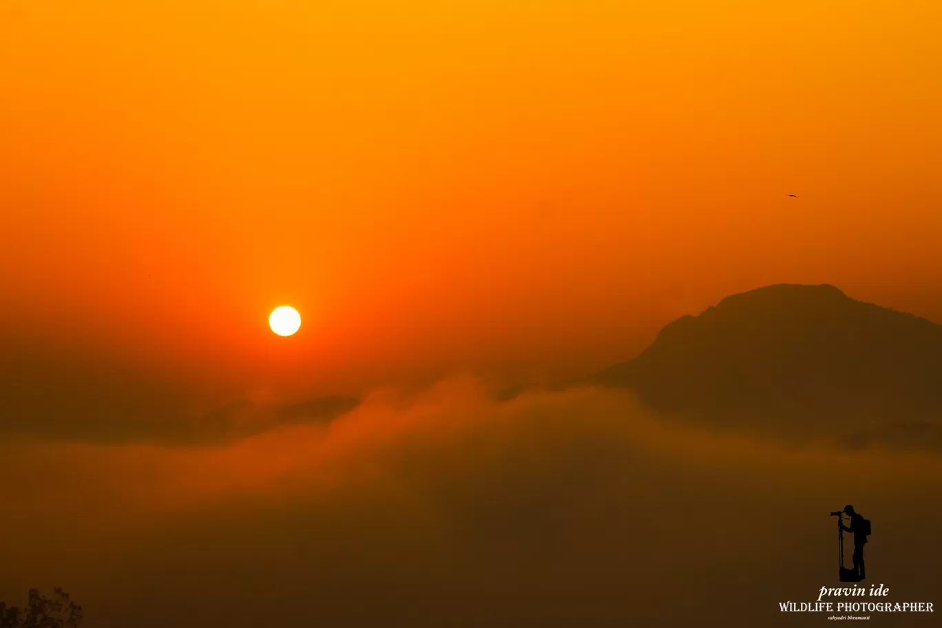Photo of Dist: Ahemadnagar Bhandardara By wildlife photographer