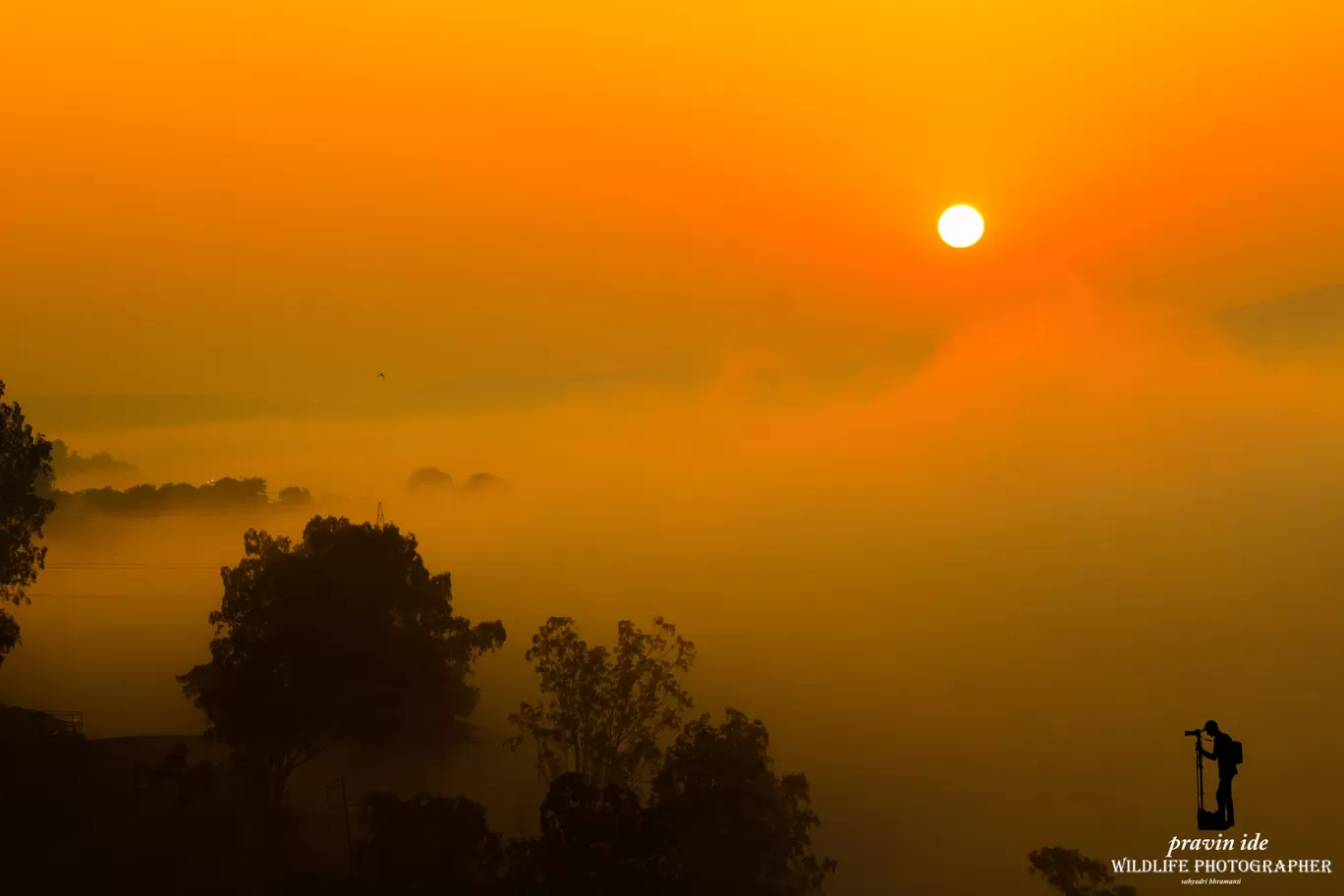 Photo of Dist: Ahemadnagar Bhandardara By wildlife photographer
