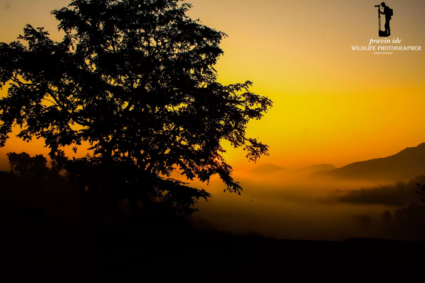 Photo of Dist: Ahemadnagar Bhandardara By wildlife photographer