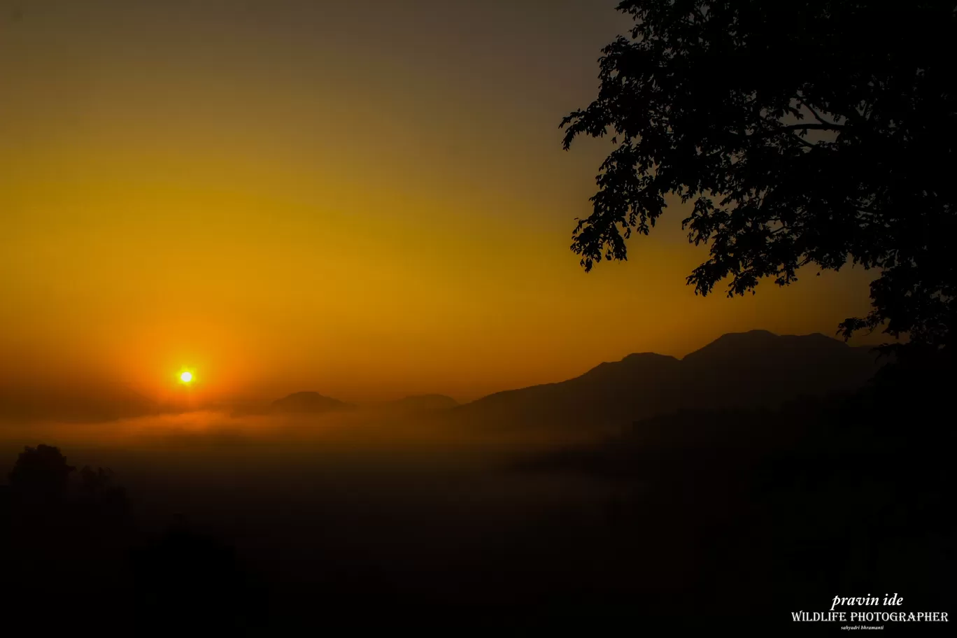 Photo of Dist: Ahemadnagar Bhandardara By wildlife photographer