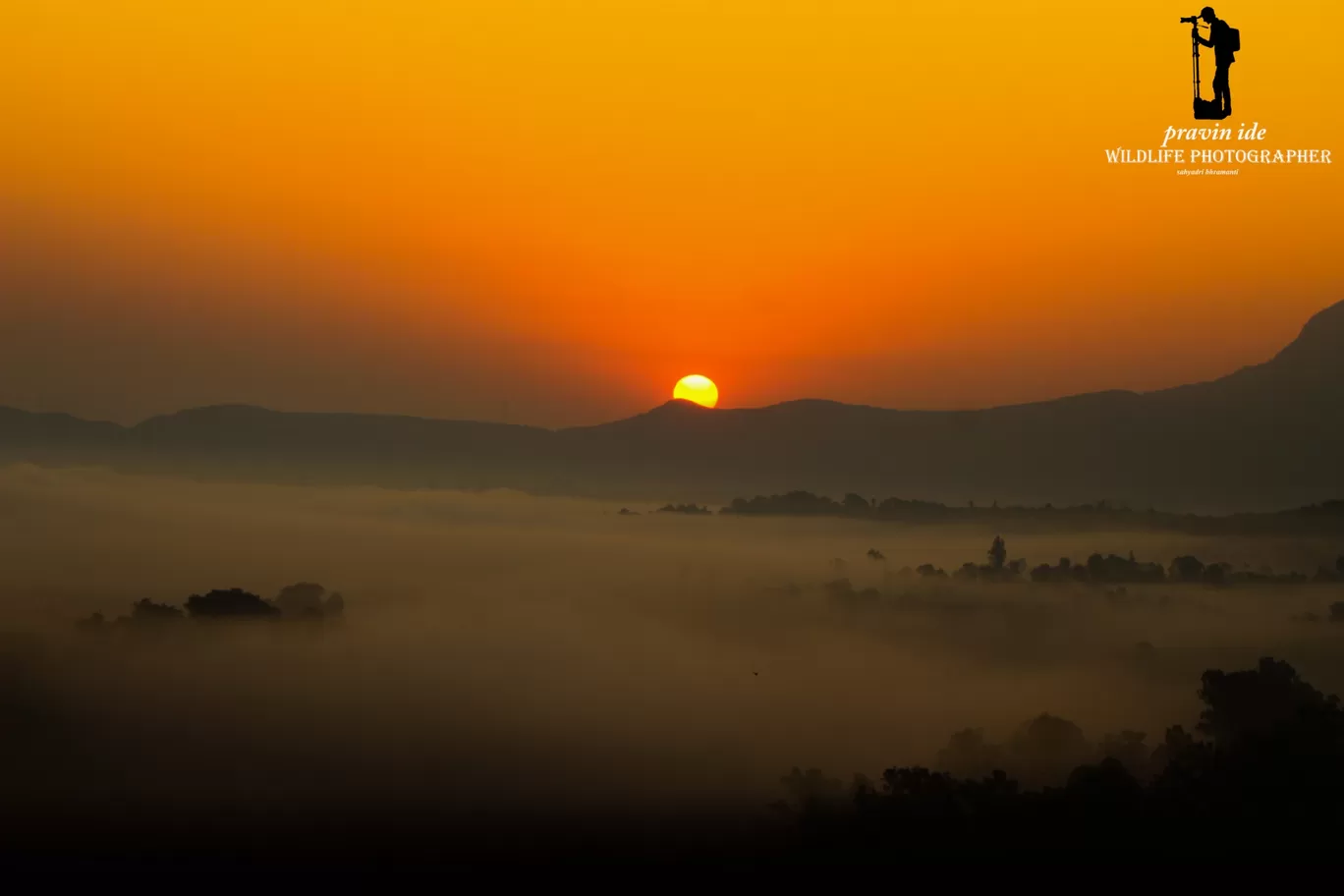 Photo of Dist: Ahemadnagar Bhandardara By wildlife photographer