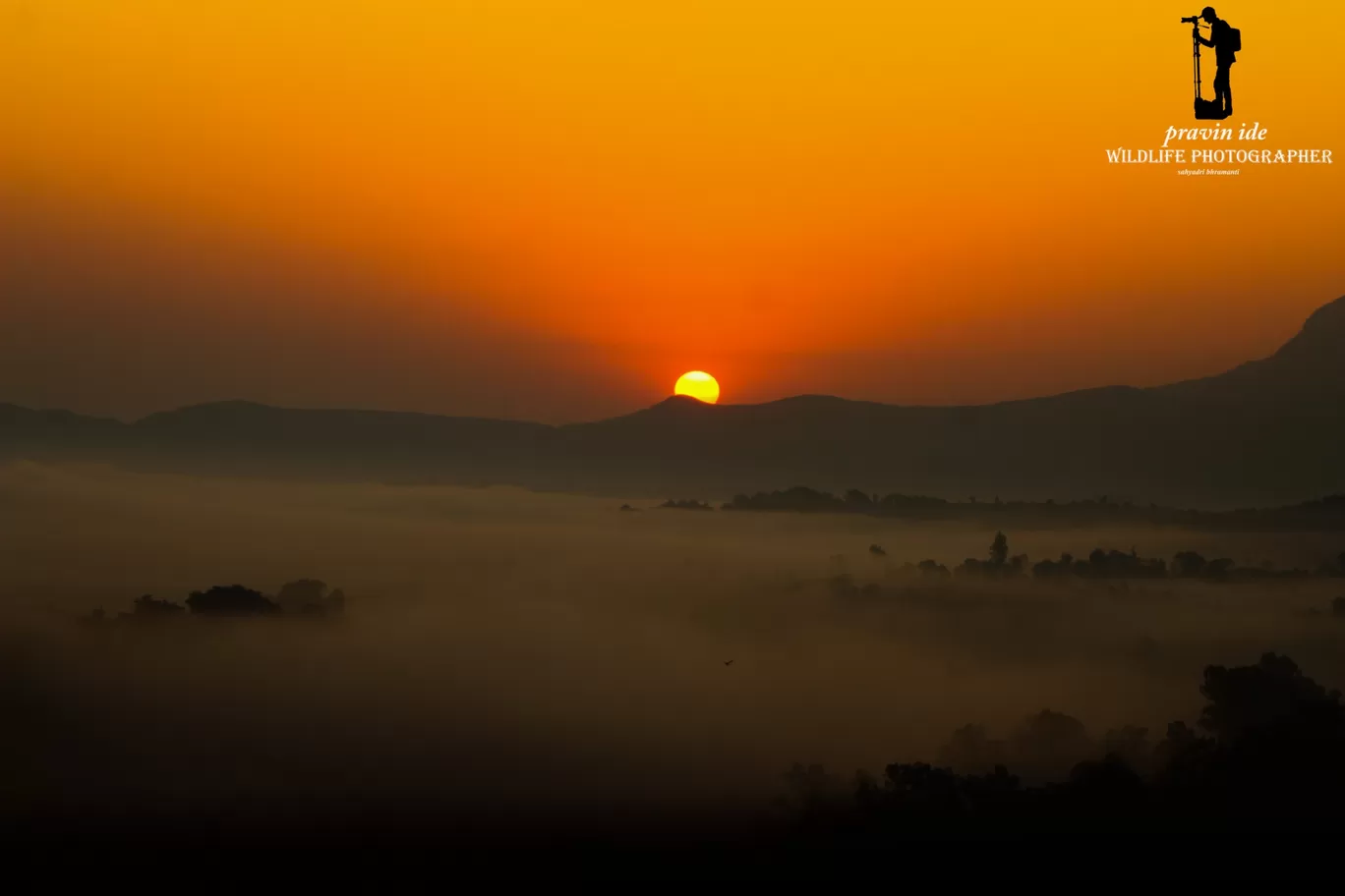 Photo of Dist: Ahemadnagar Bhandardara By wildlife photographer