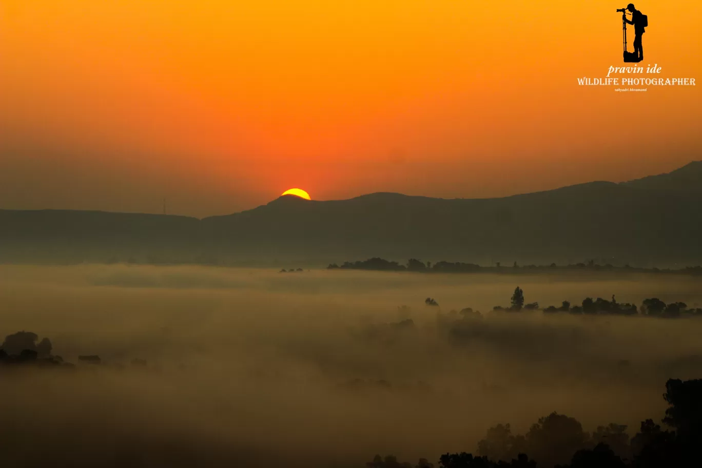 Photo of Dist: Ahemadnagar Bhandardara By wildlife photographer