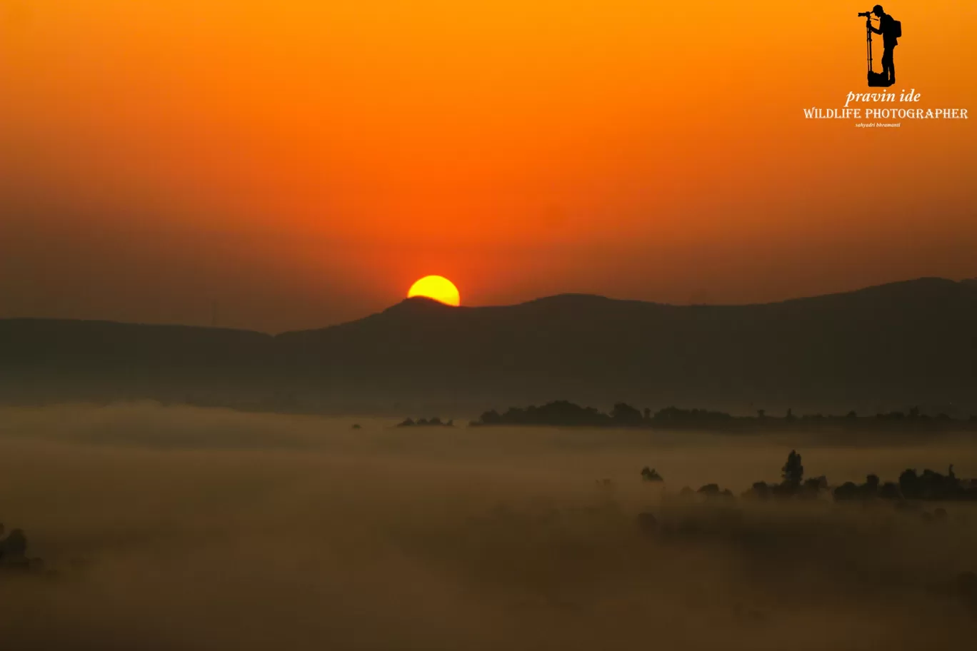 Photo of Dist: Ahemadnagar Bhandardara By wildlife photographer
