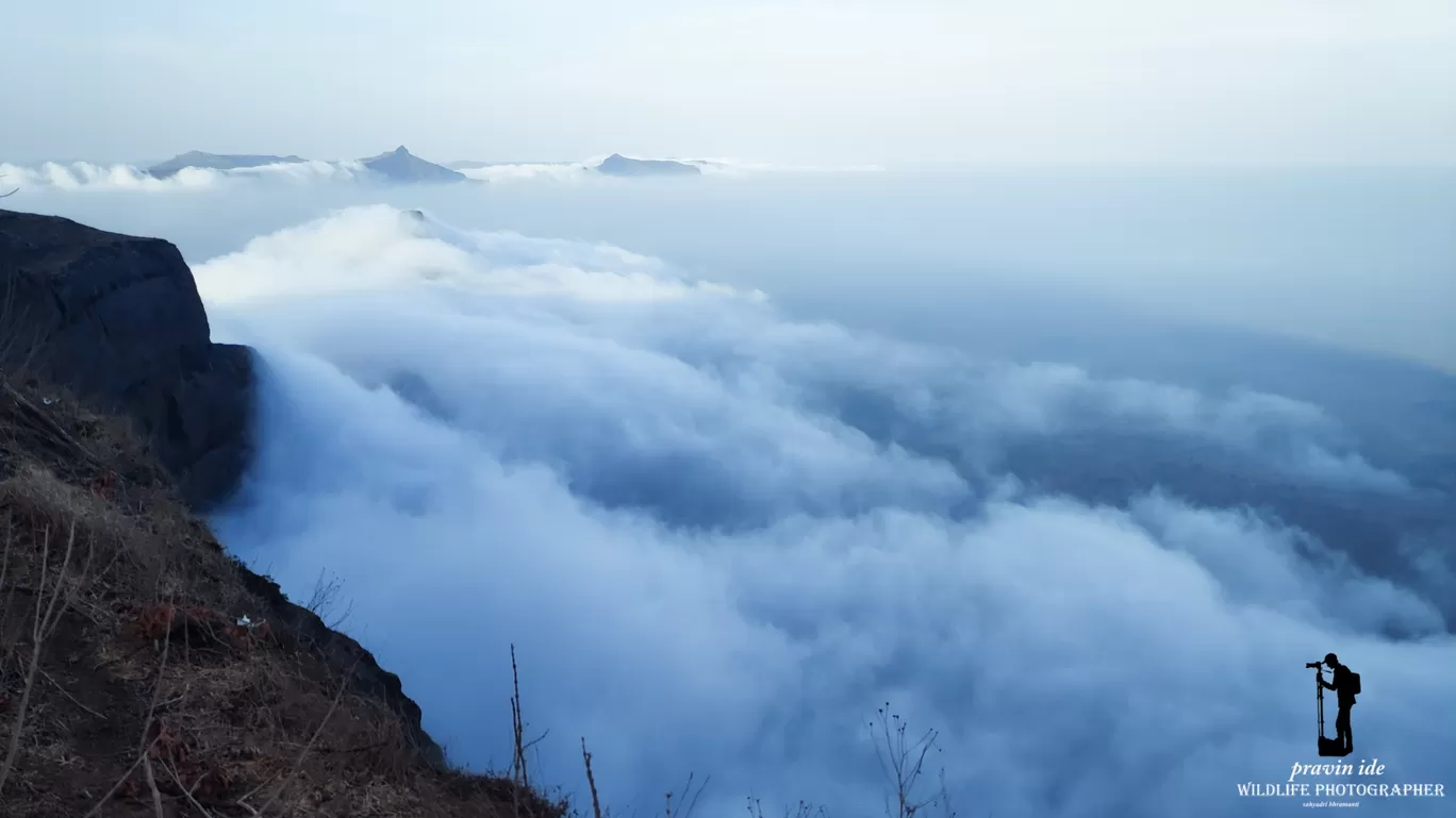 Photo of Harishchandragad - Ghatghar Natural Reserve By wildlife photographer