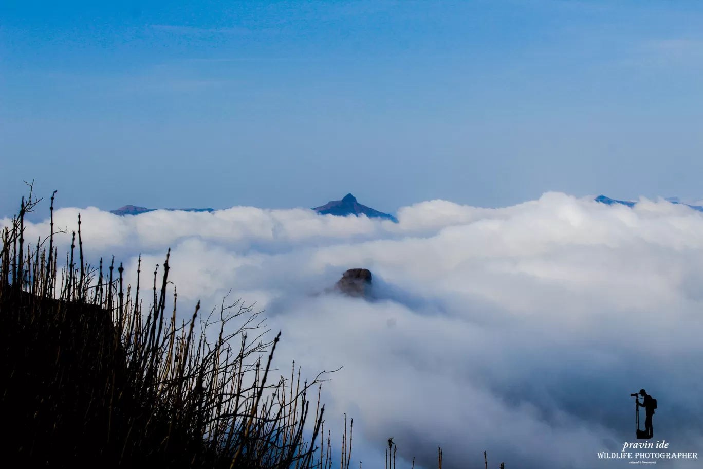 Photo of Harishchandragad - Ghatghar Natural Reserve By wildlife photographer