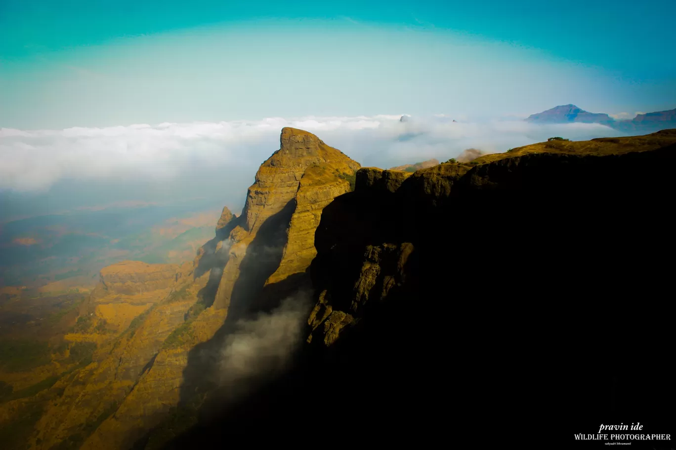 Photo of Harishchandragad - Ghatghar Natural Reserve By wildlife photographer