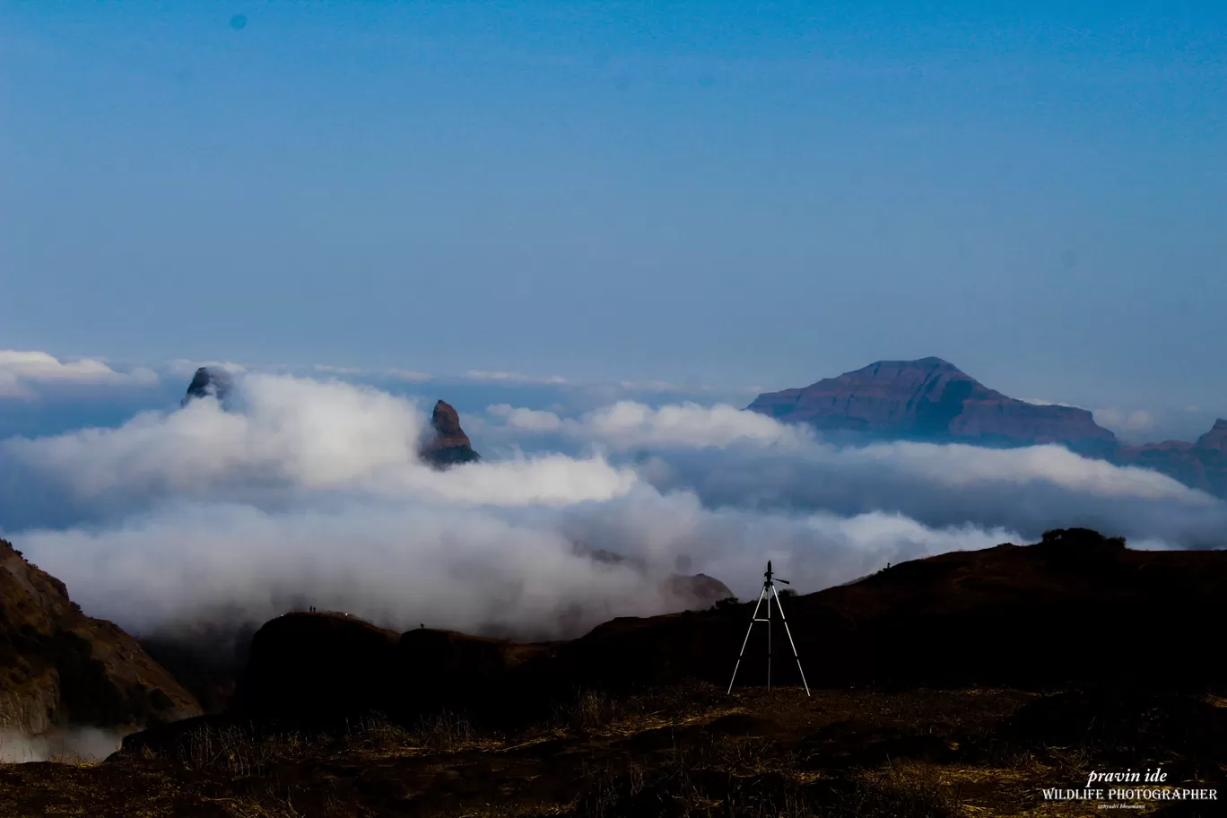 Photo of Harishchandragad - Ghatghar Natural Reserve By wildlife photographer