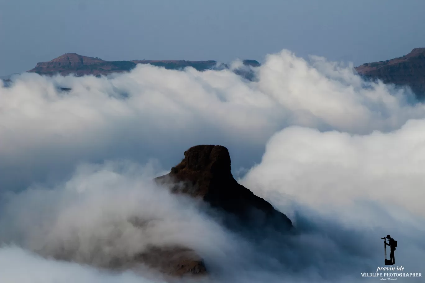 Photo of Harishchandragad - Ghatghar Natural Reserve By wildlife photographer