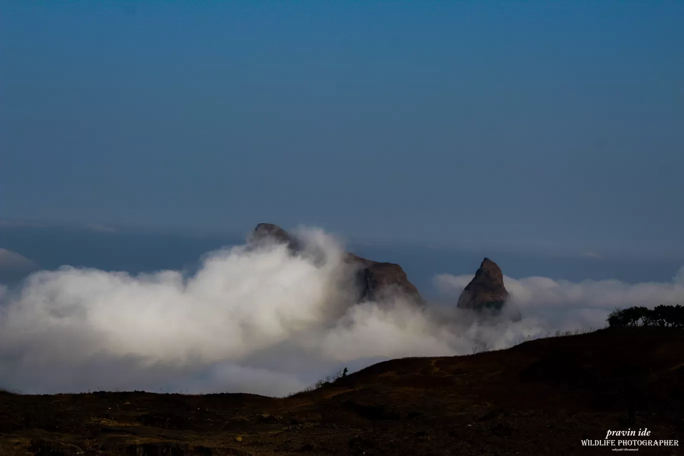 Photo of Harishchandragad - Ghatghar Natural Reserve By wildlife photographer