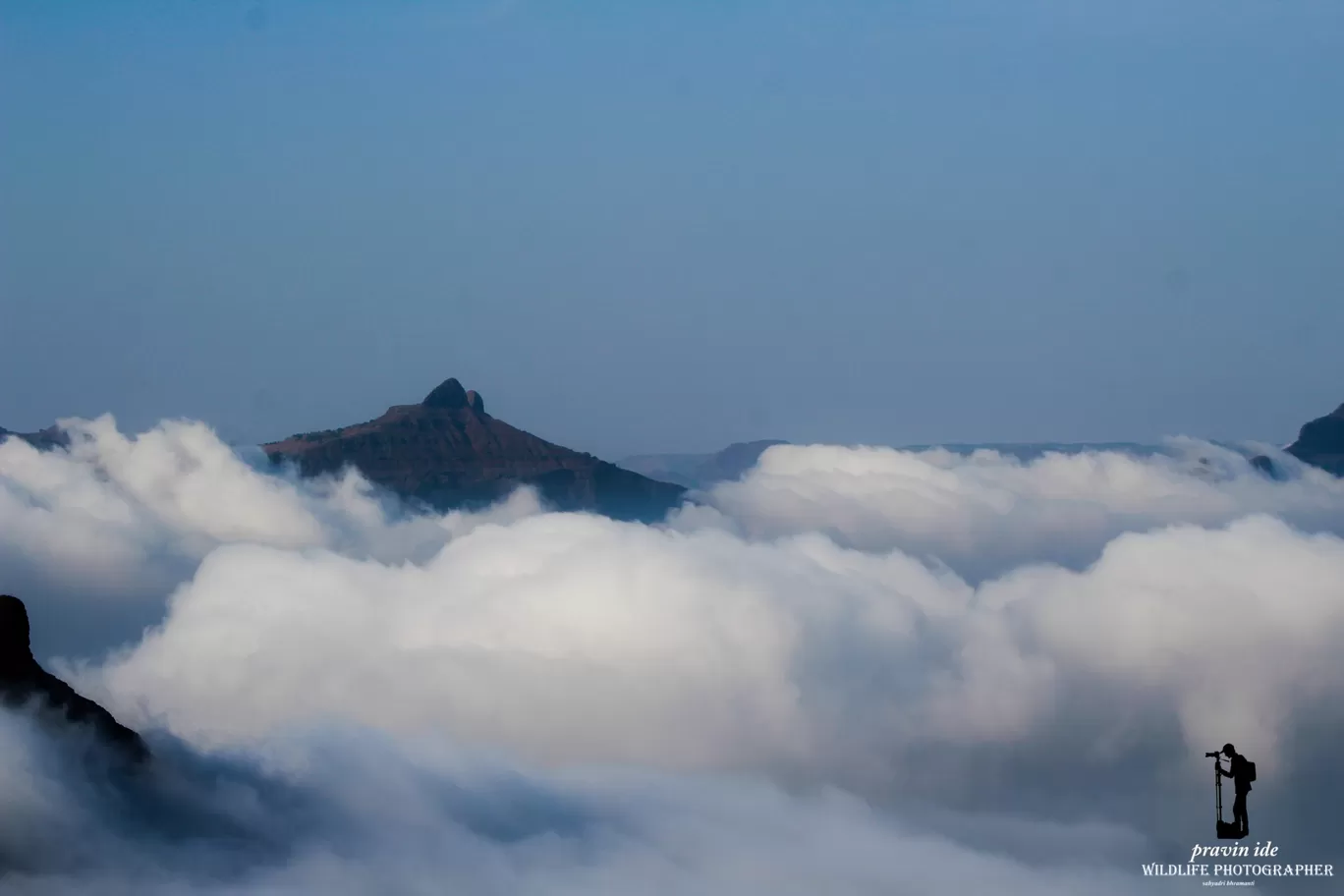 Photo of Harishchandragad - Ghatghar Natural Reserve By wildlife photographer