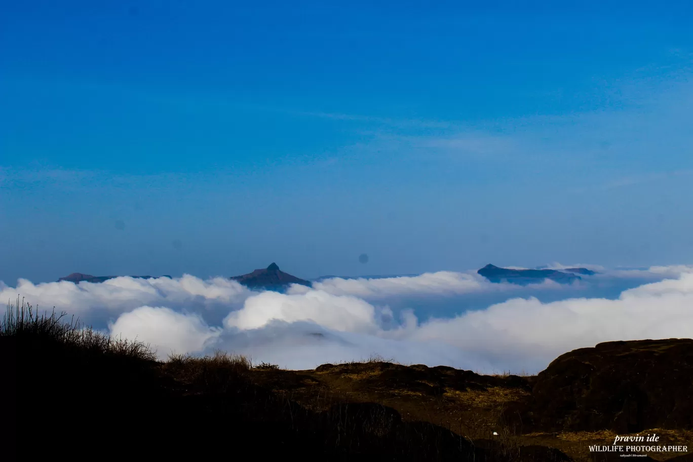 Photo of Harishchandragad - Ghatghar Natural Reserve By wildlife photographer