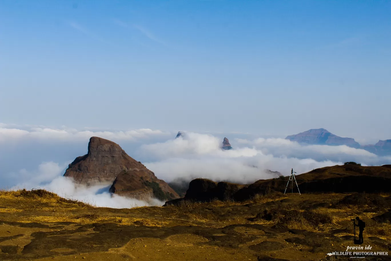 Photo of Harishchandragad - Ghatghar Natural Reserve By wildlife photographer