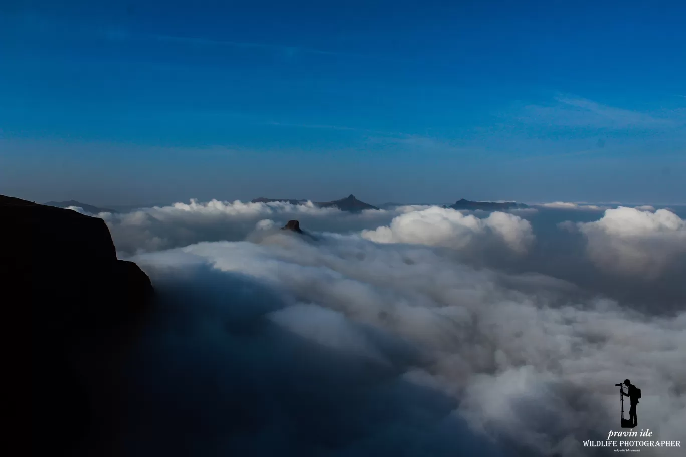 Photo of Harishchandragad - Ghatghar Natural Reserve By wildlife photographer