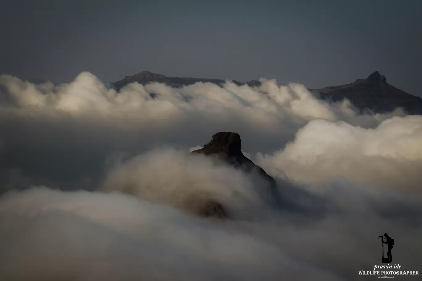 Photo of Harishchandragad - Ghatghar Natural Reserve By wildlife photographer