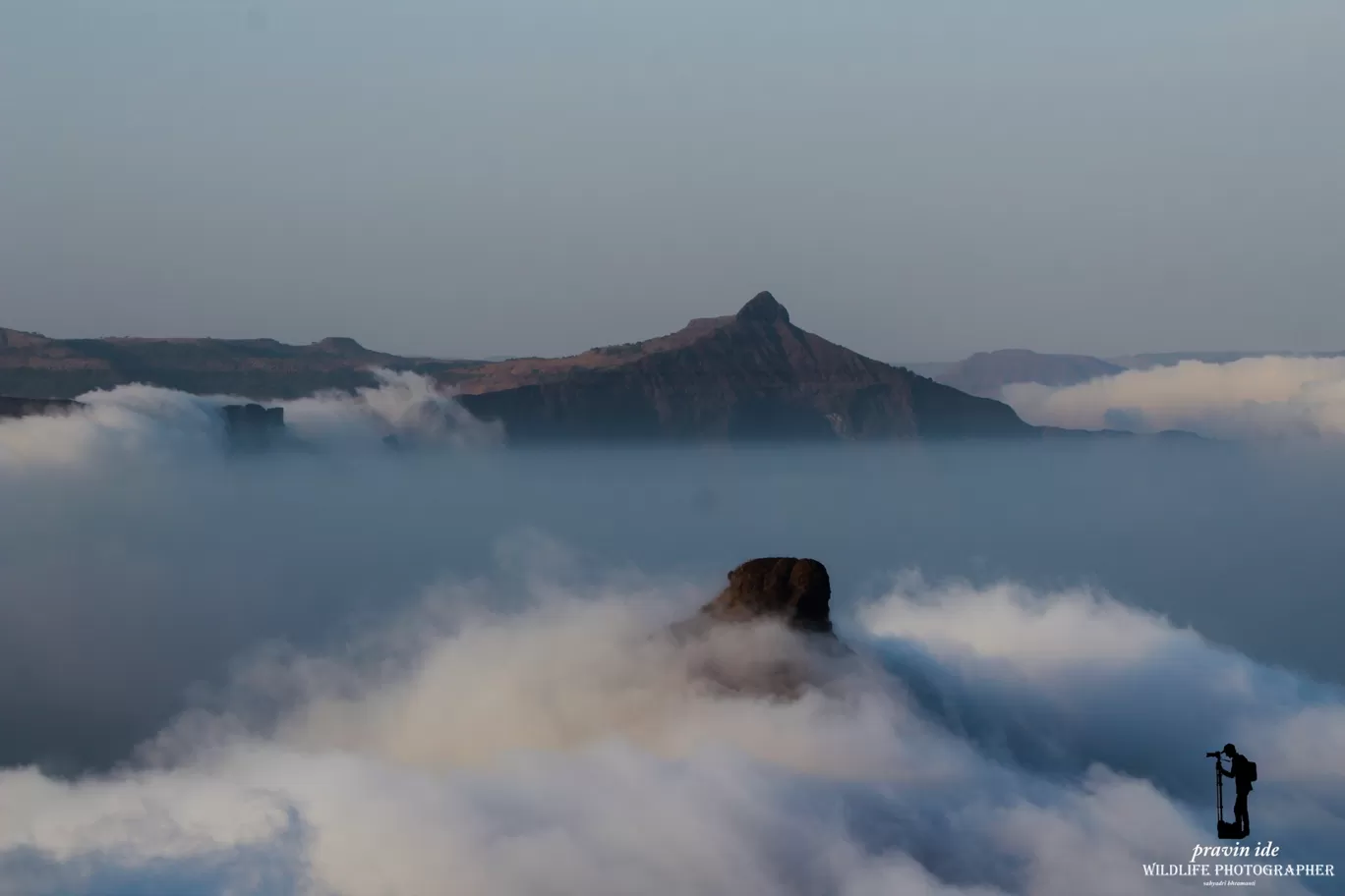 Photo of Harishchandragad - Ghatghar Natural Reserve By wildlife photographer