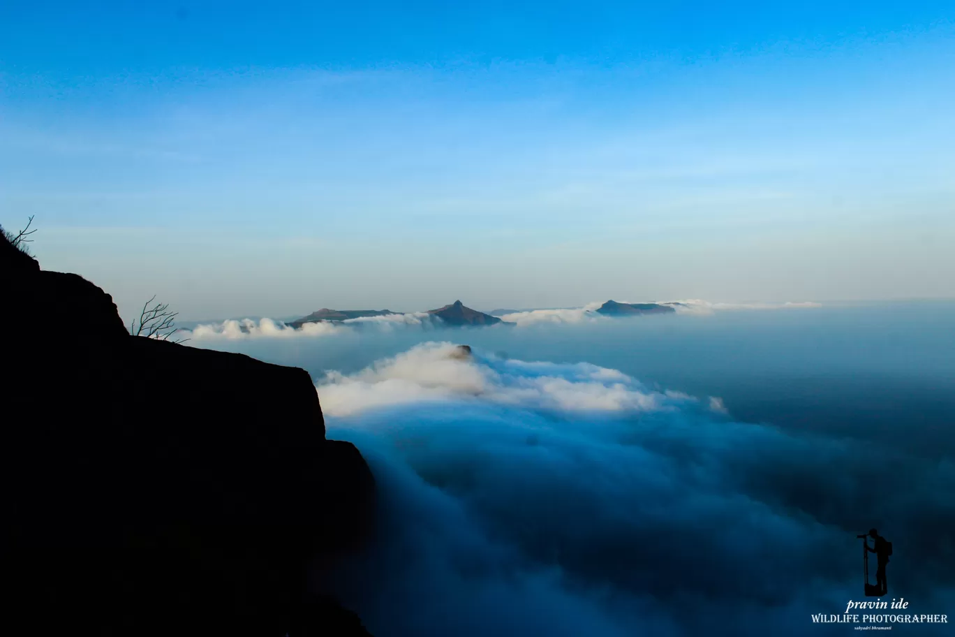 Photo of Harishchandragad - Ghatghar Natural Reserve By wildlife photographer