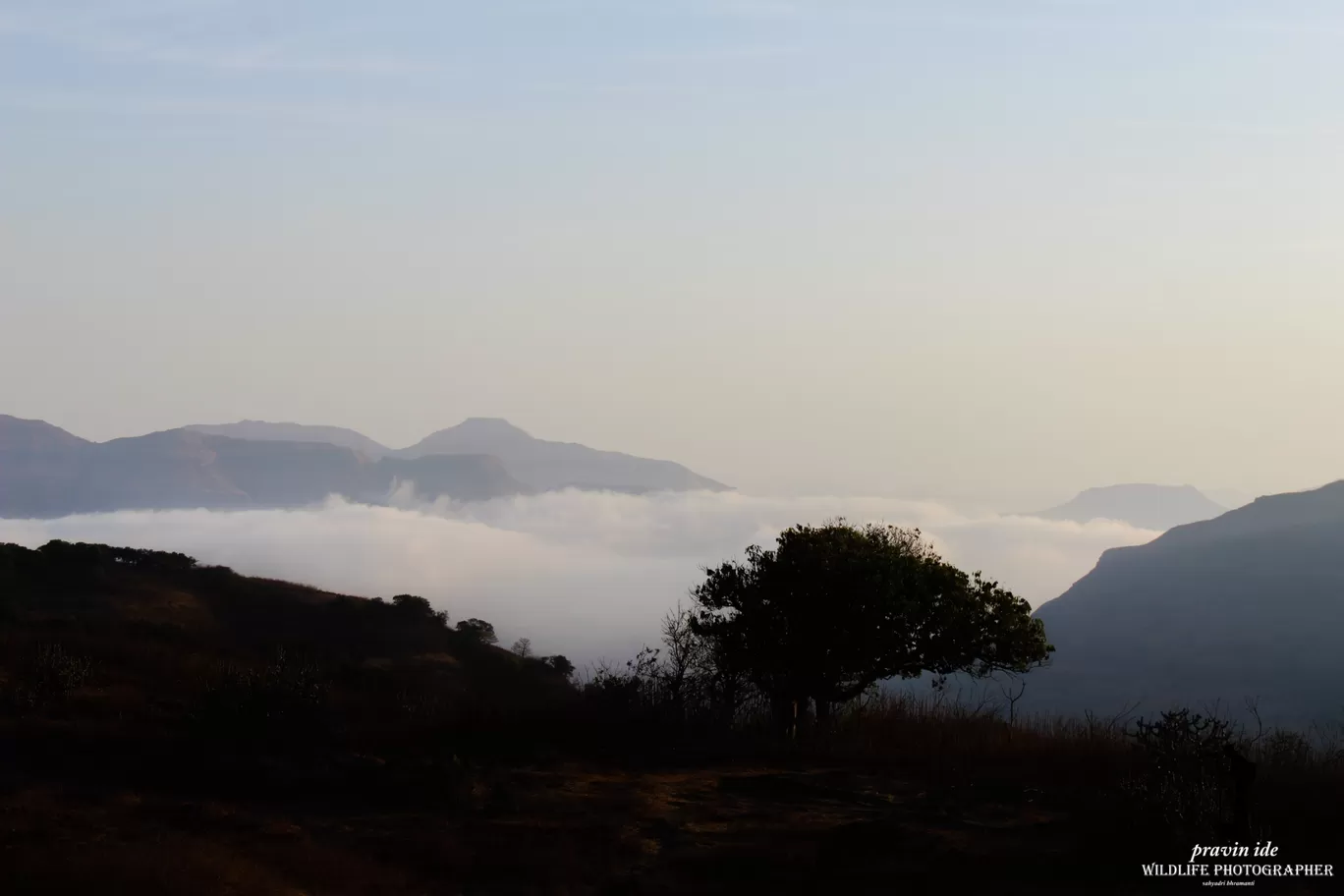 Photo of Harishchandragad - Ghatghar Natural Reserve By wildlife photographer