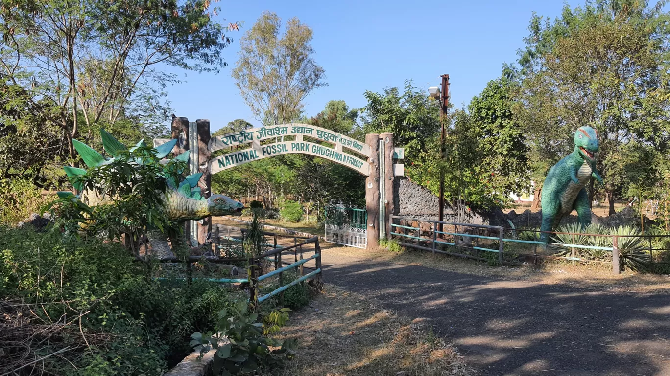 Photo of Ghughua Fossil Park By Glenn George