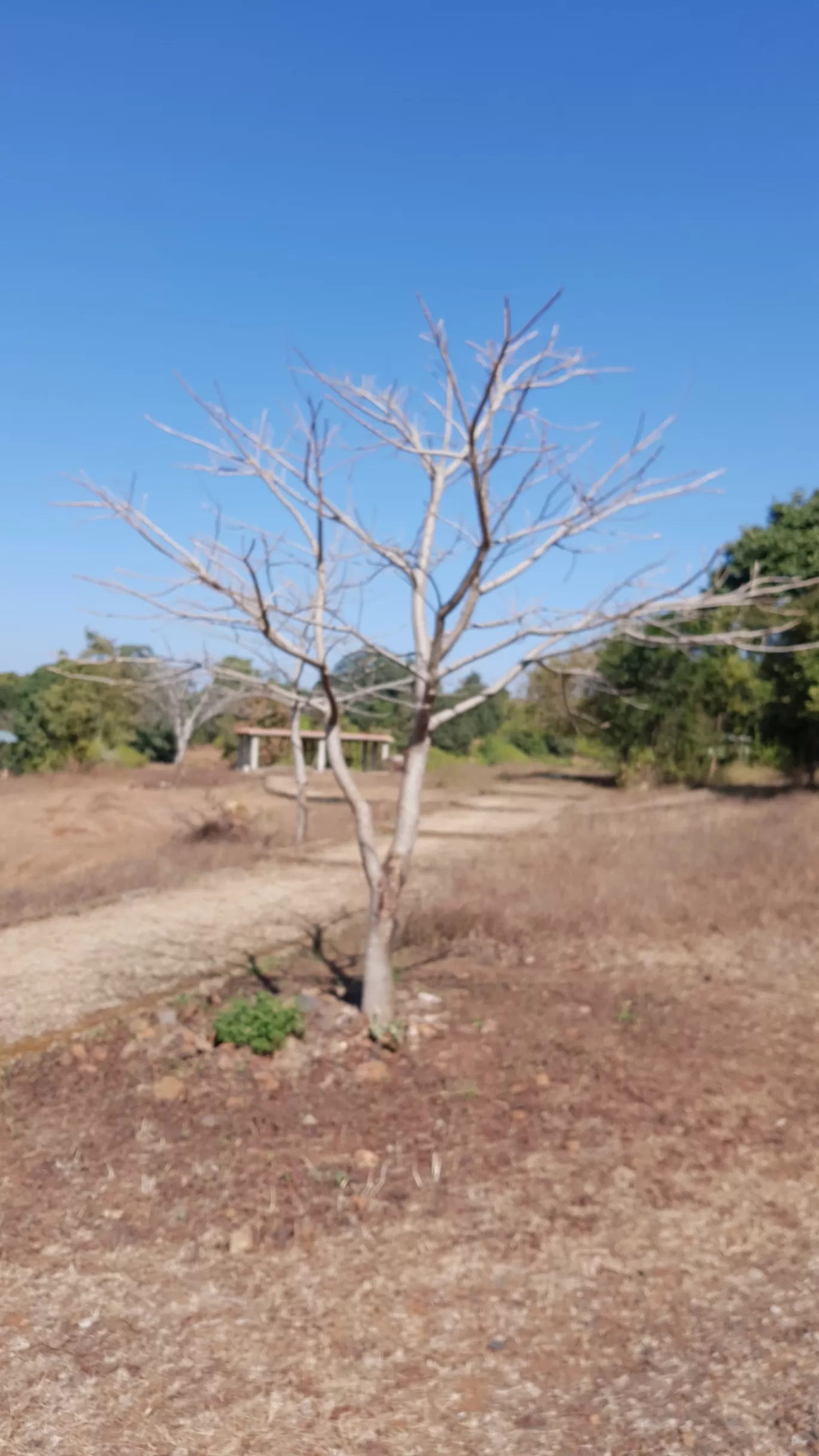 Photo of Ghughua Fossil Park By Glenn George