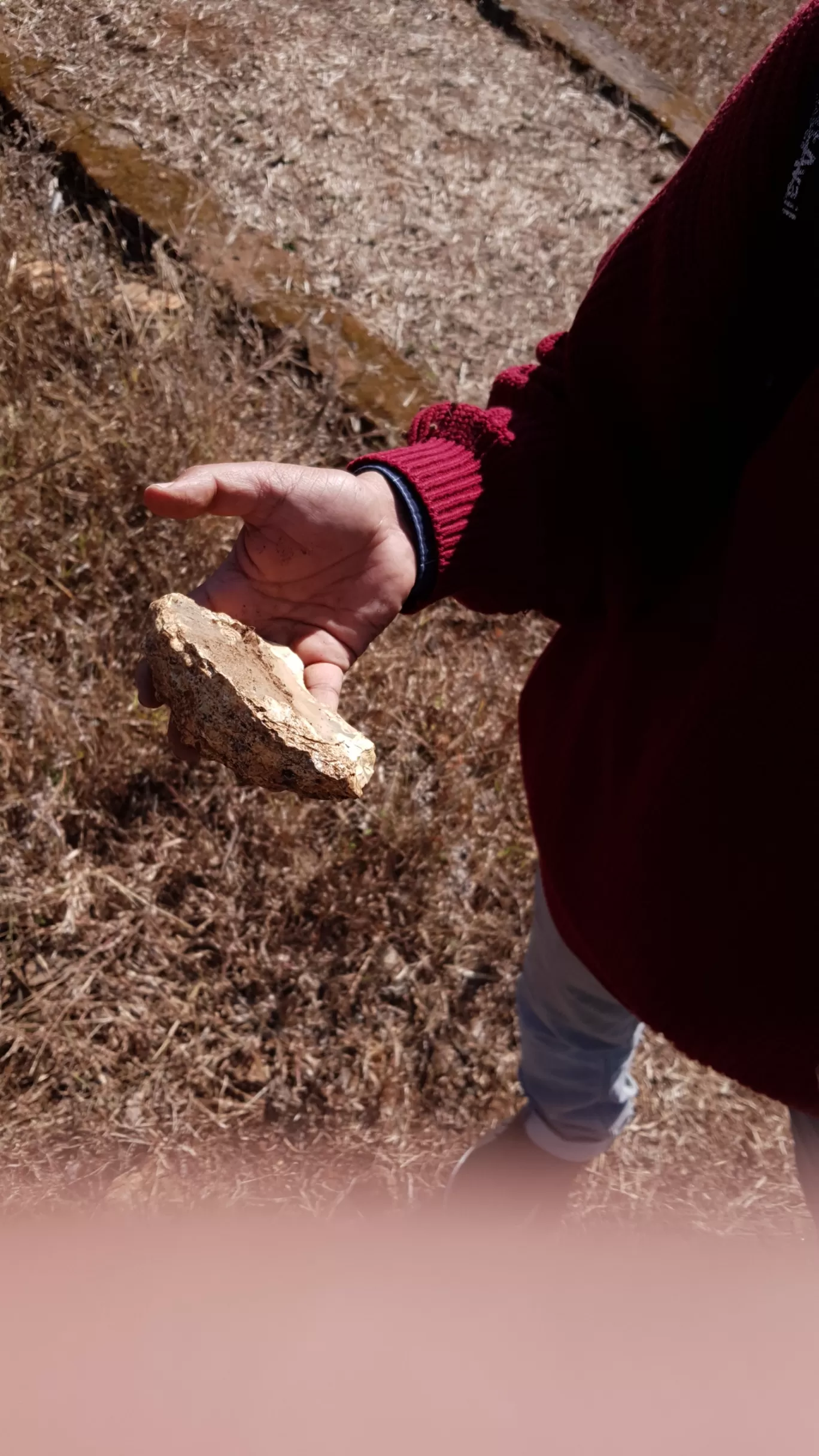 Photo of Ghughua Fossil Park By Glenn George