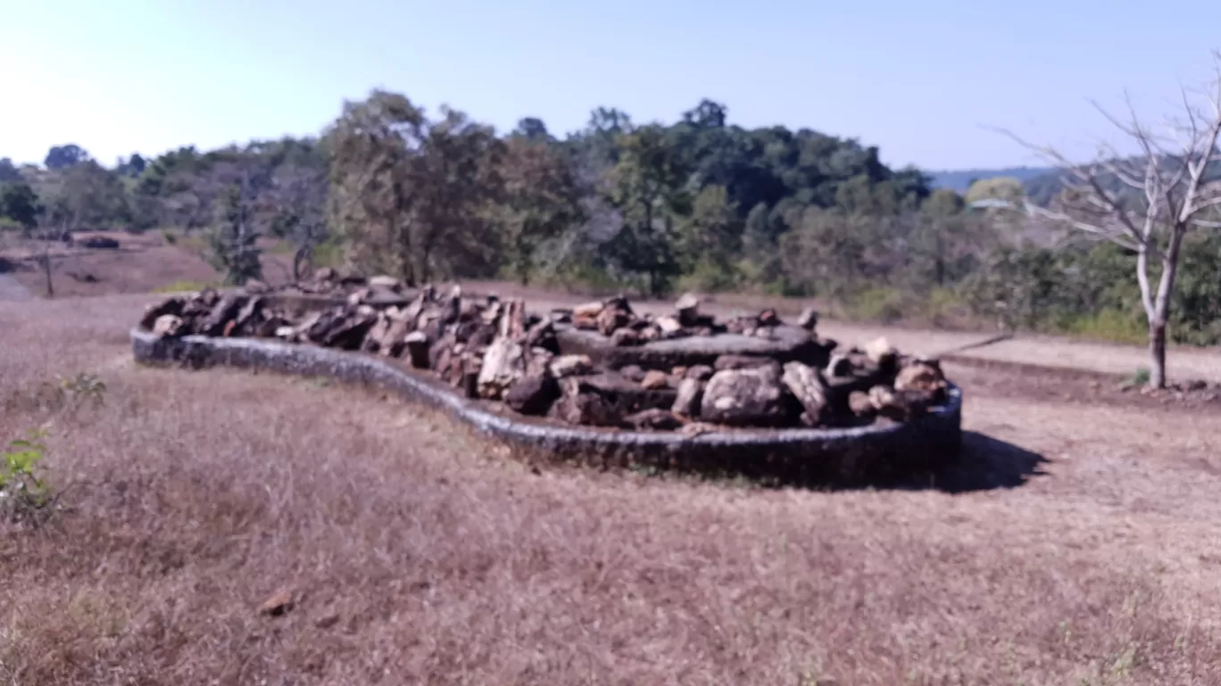 Photo of Ghughua Fossil Park By Glenn George
