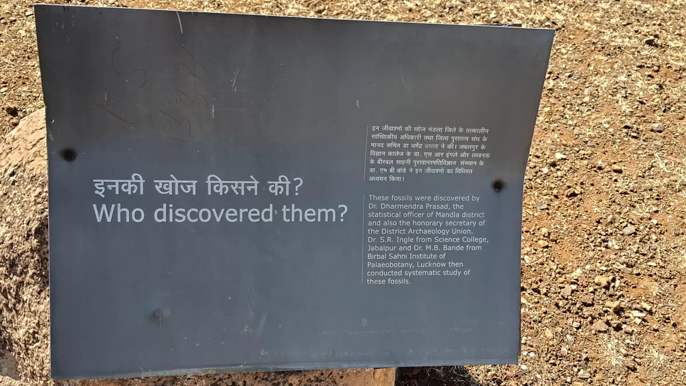 Photo of Ghughua Fossil Park By Glenn George