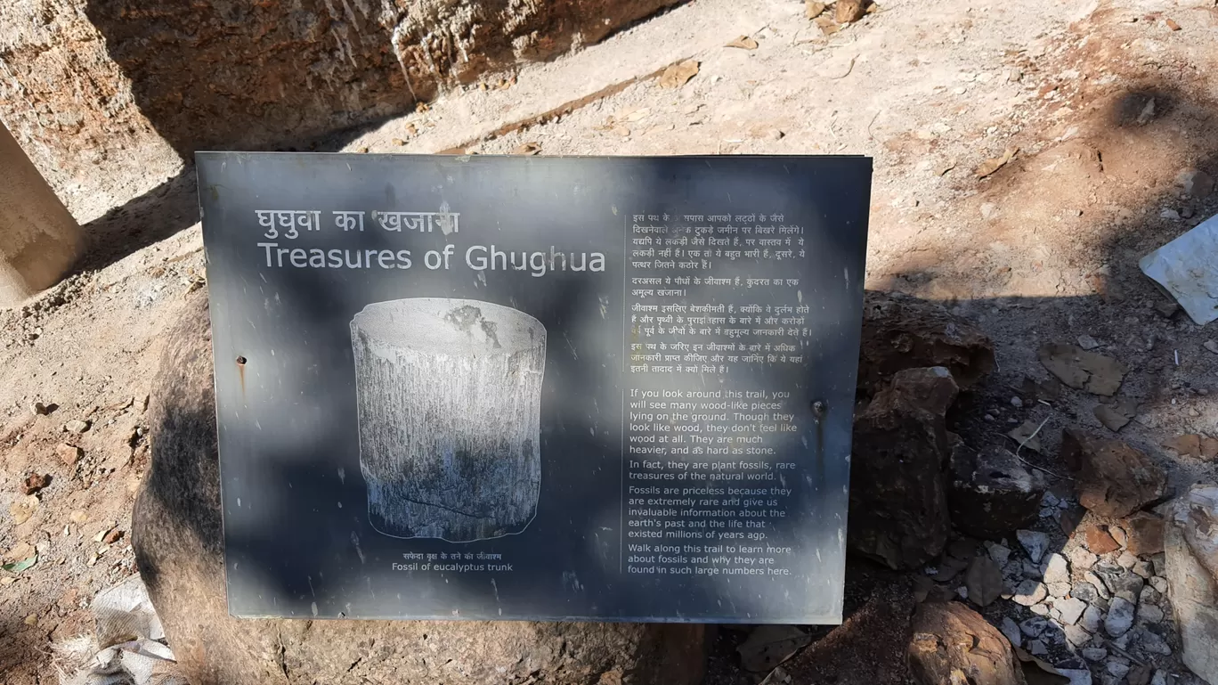 Photo of Ghughua Fossil Park By Glenn George