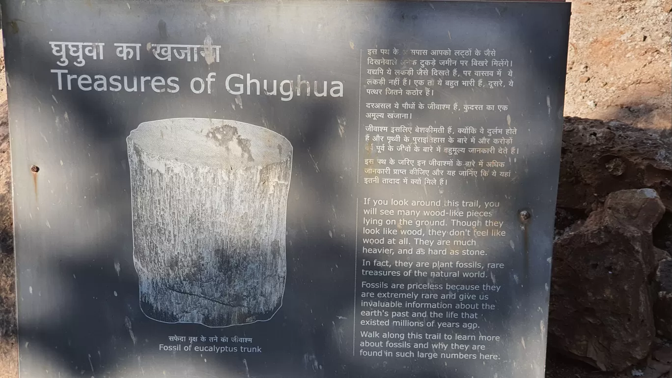 Photo of Ghughua Fossil Park By Glenn George