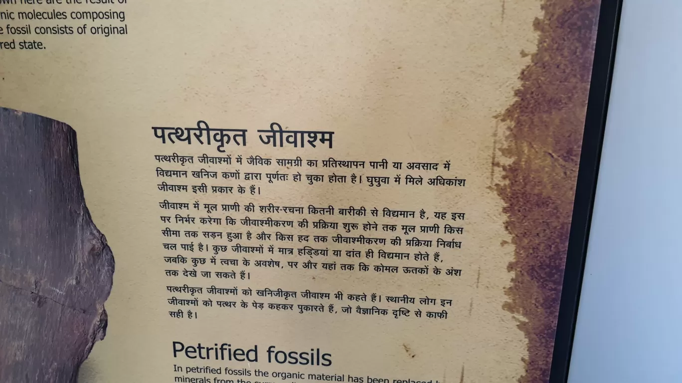 Photo of Ghughua Fossil Park By Glenn George
