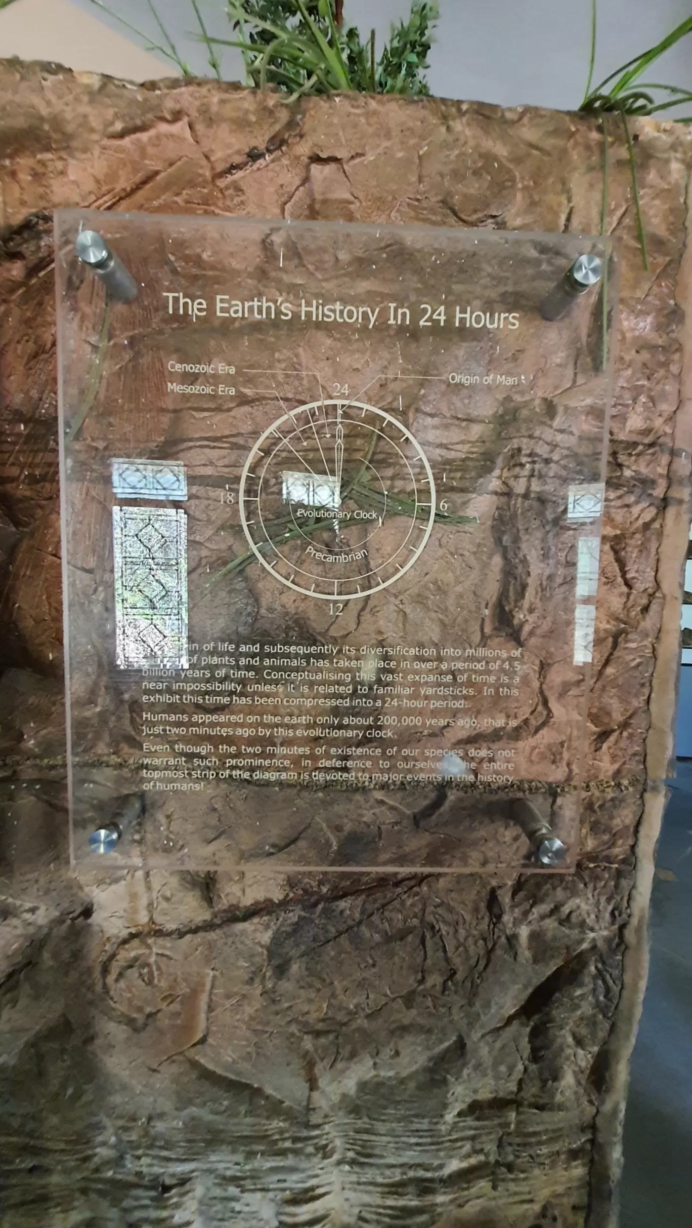 Photo of Ghughua Fossil Park By Glenn George