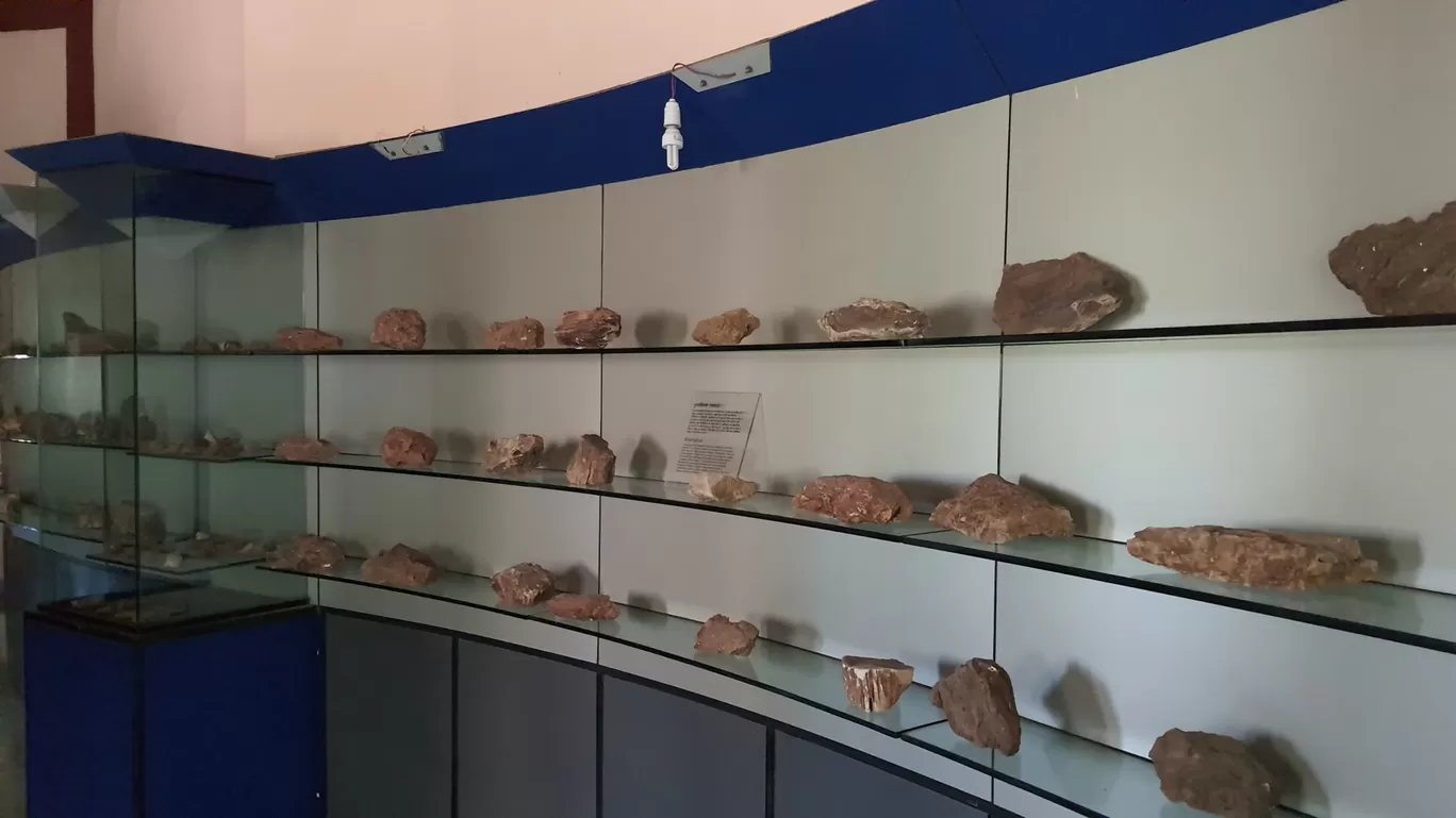 Photo of Ghughua Fossil Park By Glenn George