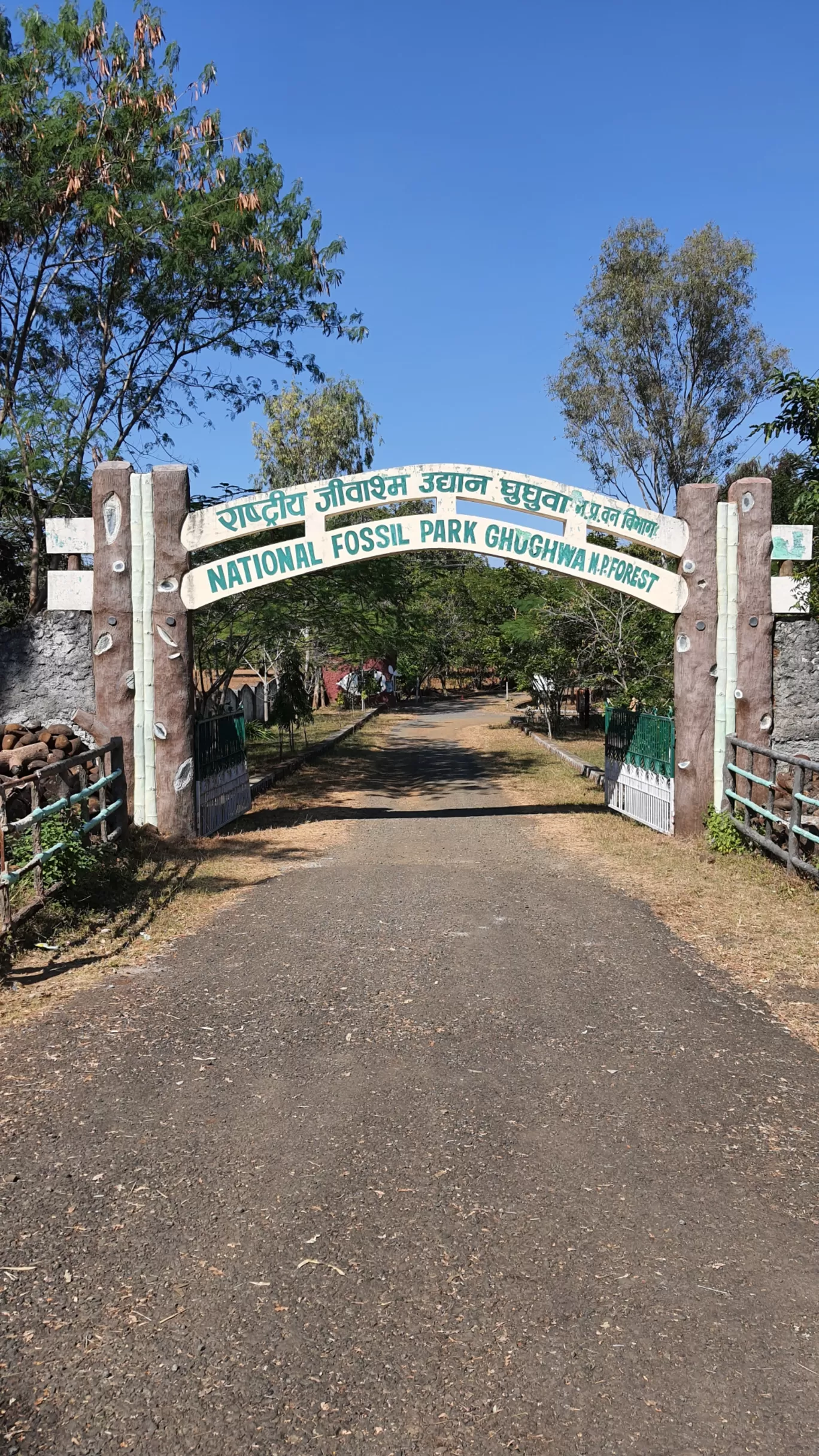 Photo of Ghughua Fossil Park By Glenn George