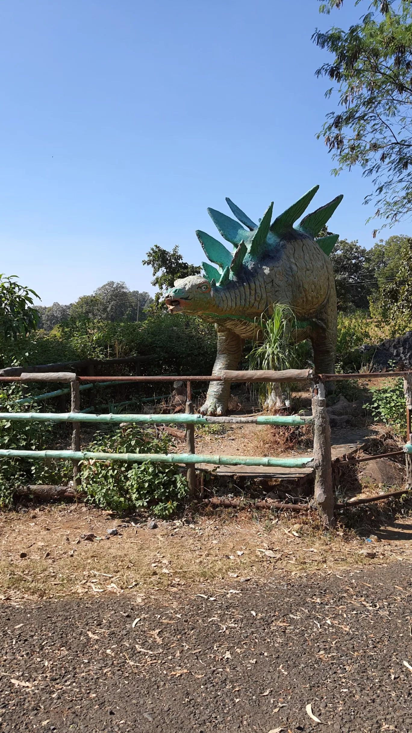 Photo of Ghughua Fossil Park By Glenn George