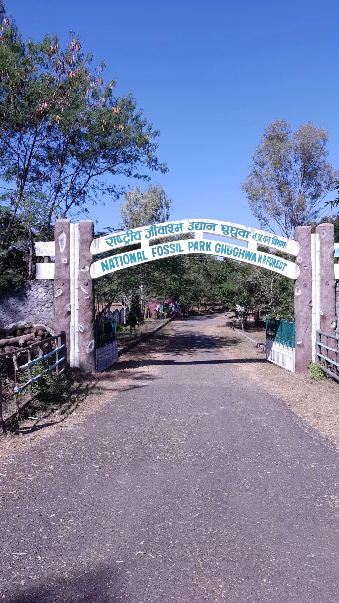 Photo of Ghughua Fossil Park By Glenn George