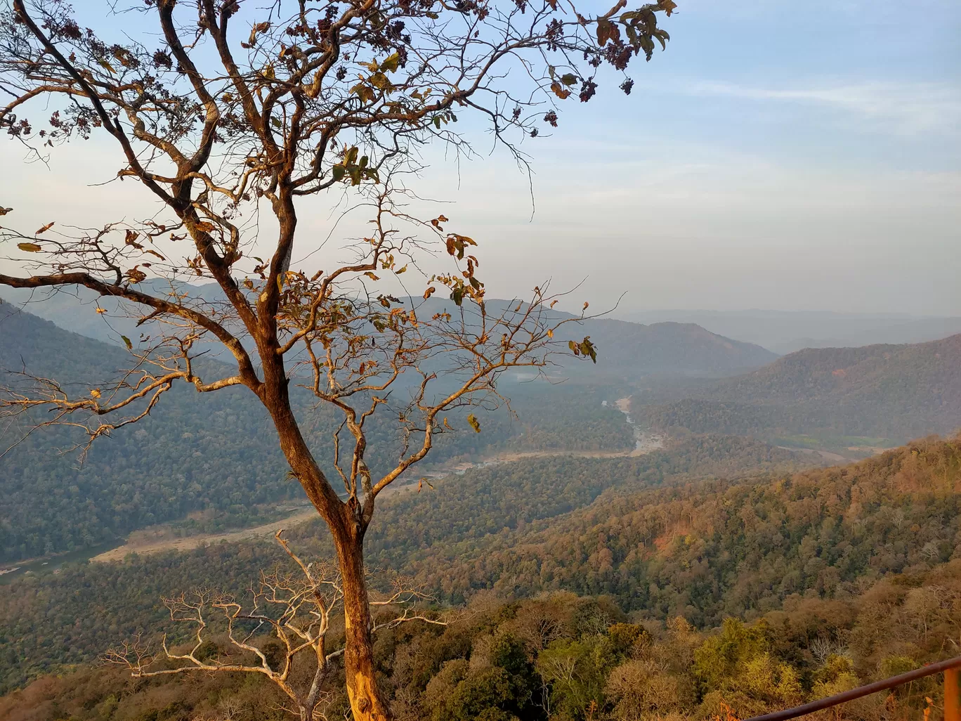 Photo of Jenukallu Gudda By Freeda Dsouza