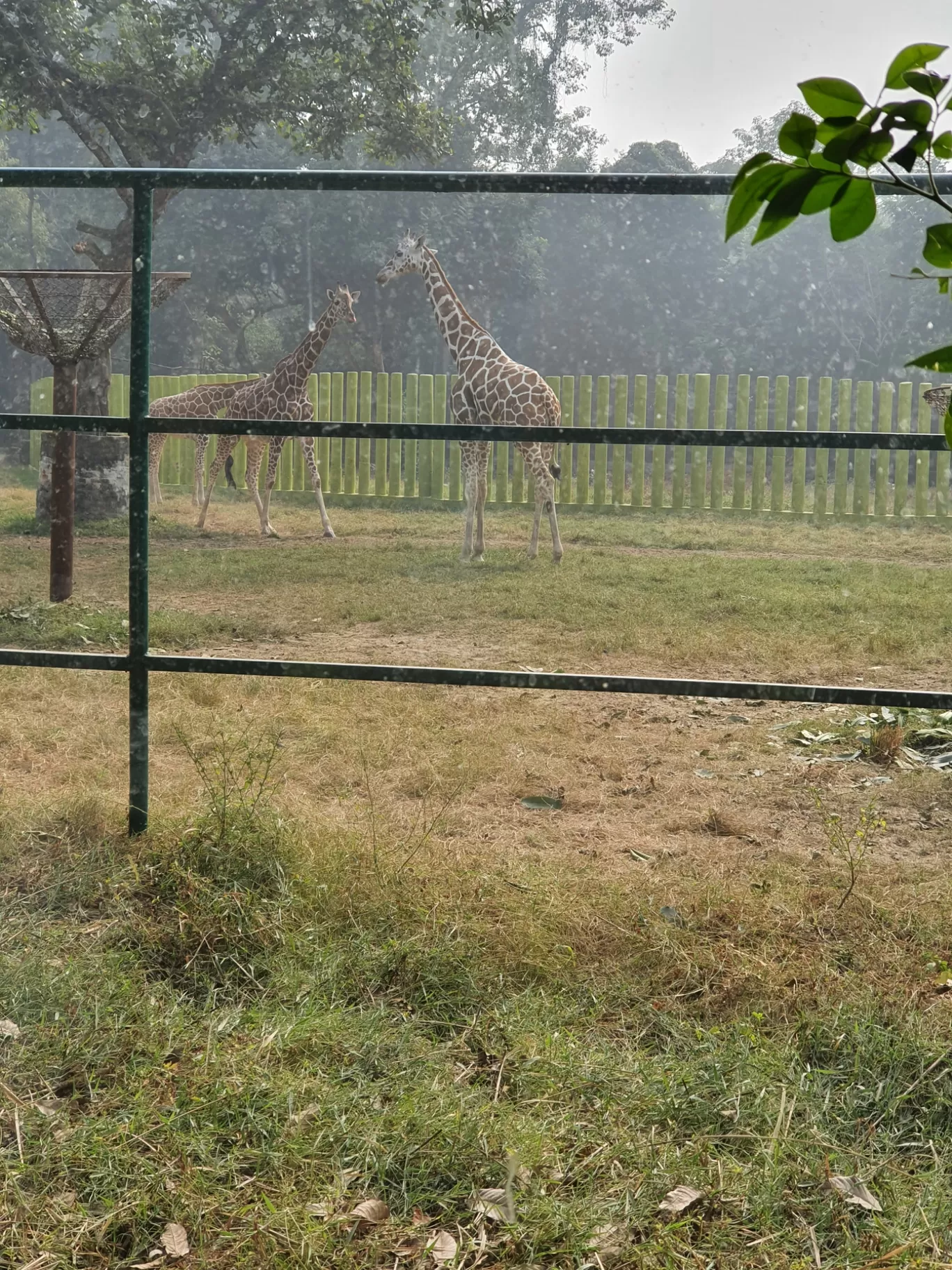 Photo of Sanjay Gandhi Biological Park By akshay kumar