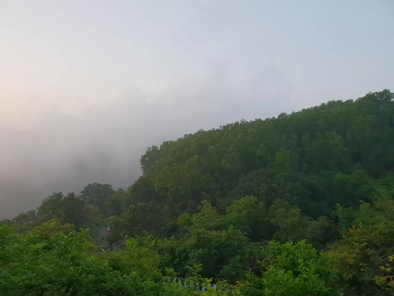 Photo of Tirupati By Jyothi Prakash