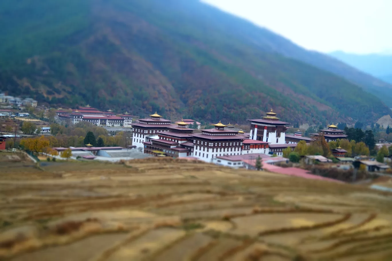 Photo of Bhutan By Anindya Chandra