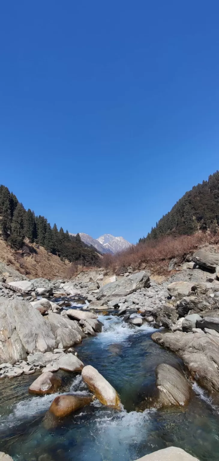 Photo of Rajgundha By kritika chander