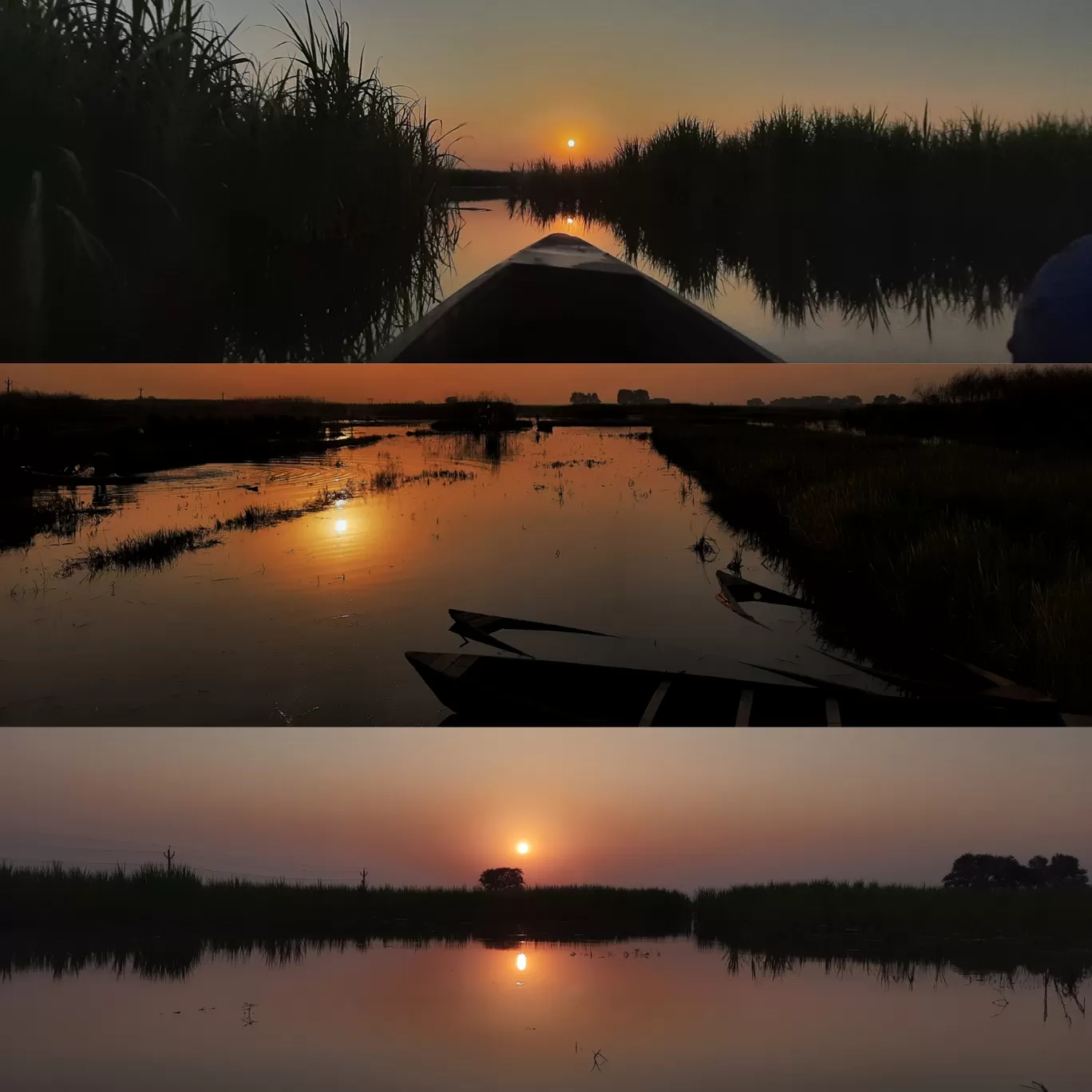 Photo of Kanwar Lake Bird Sanctuary By rakesh verma