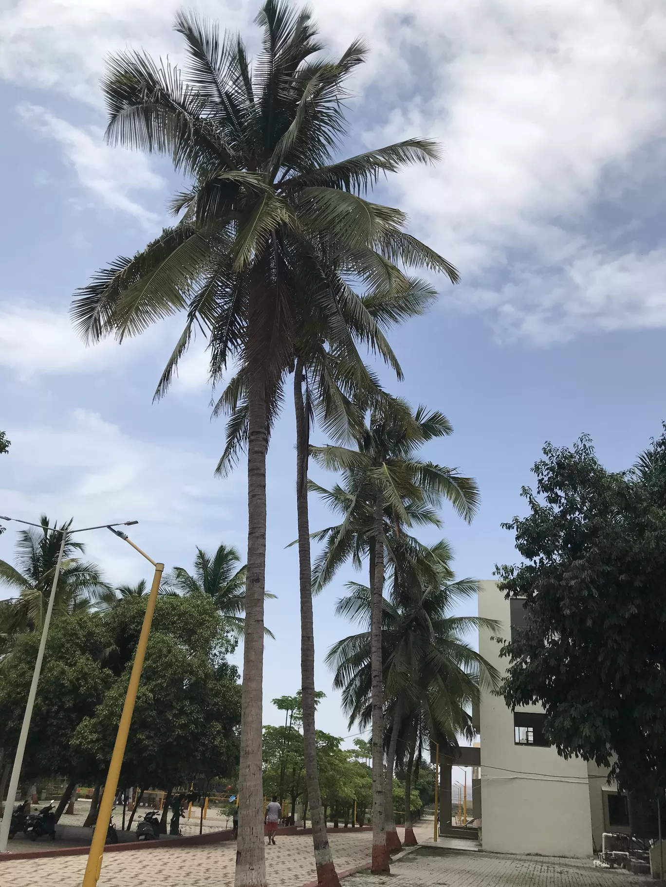 Photo of Valsad By Neel Ai