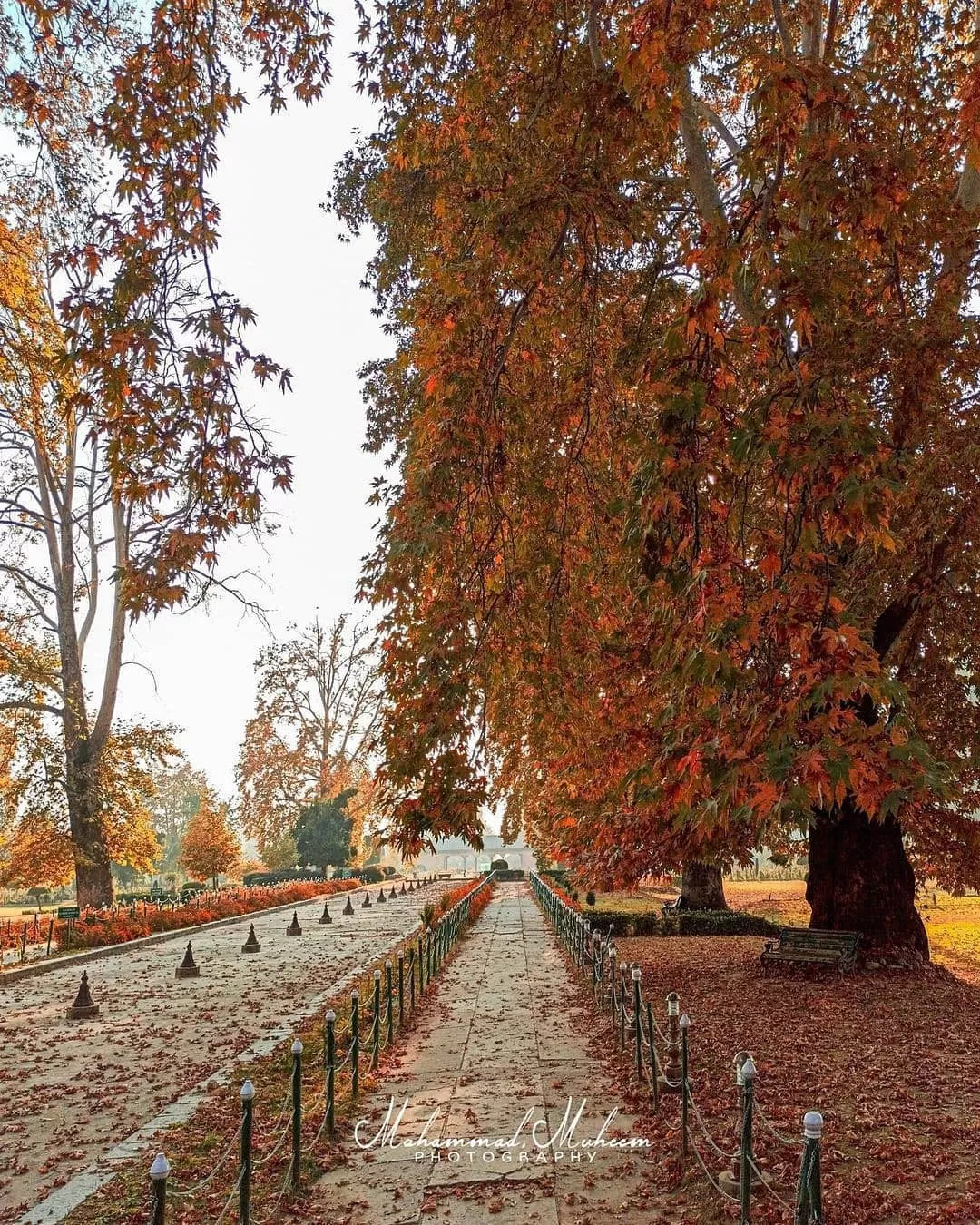 Photo of Shalimar Bagh By Muheem Bhat